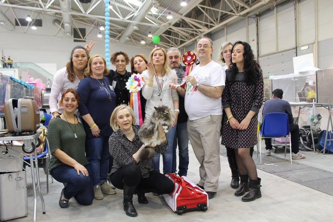 MW’16 IC EmeraldItaly Giunone DSM