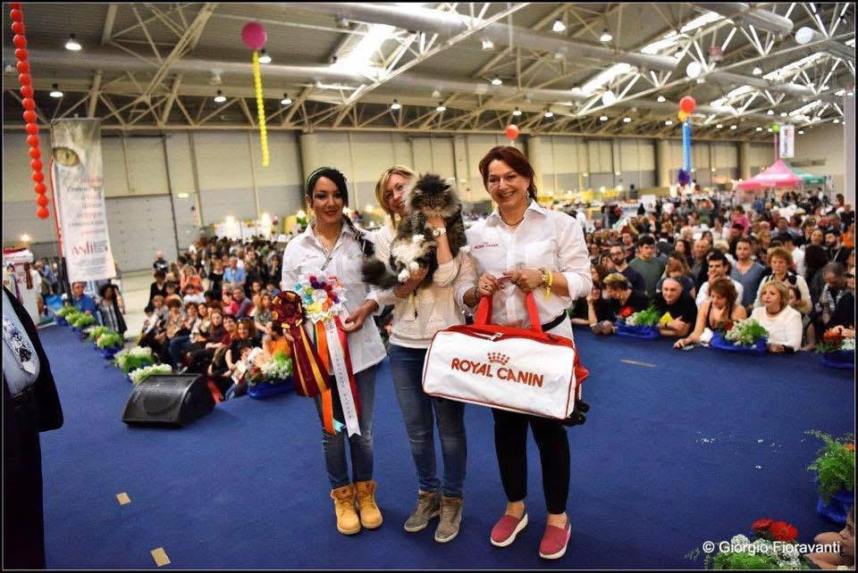 MW’16 IC EmeraldItaly Giunone DSM